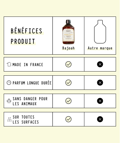 FLOOR PERFUME 500ml